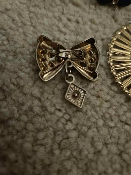 Photo of free Necklace and pin (Westminster) #2