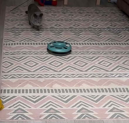 Photo of free Large area rug (Barking IG11) #1