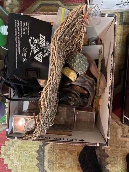 Photo of free Pet supplies (Southwedge) #4