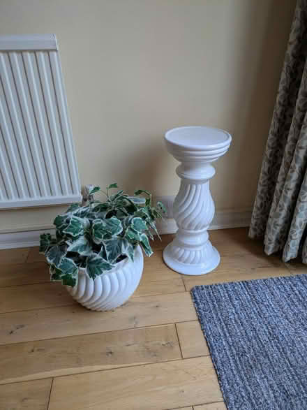 Photo of free Jardeniere (Ascot) #1