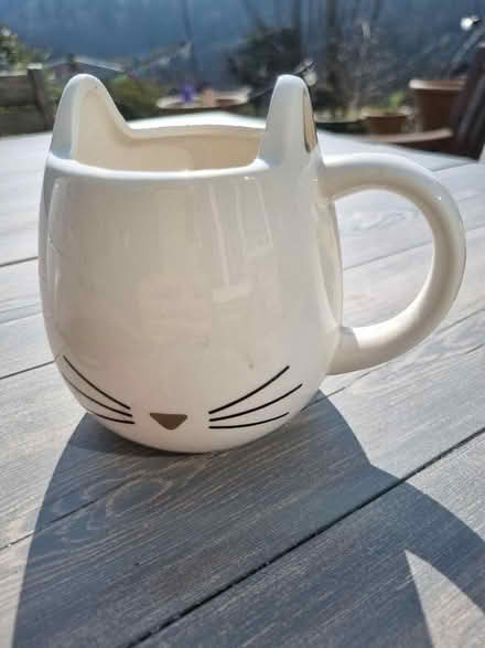 Photo of free Cat mug (Chalford GL6) #1