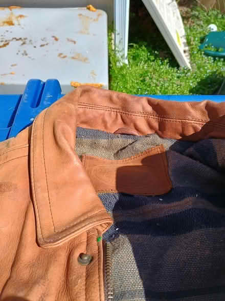 Photo of free leather Jacket, size M/M, some mold (Newport News, Bruton Ave) #2