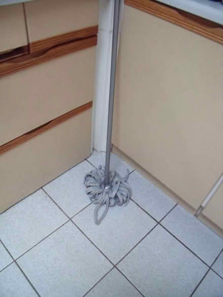 Photo of free Mops (Wilmslow SK9) #1