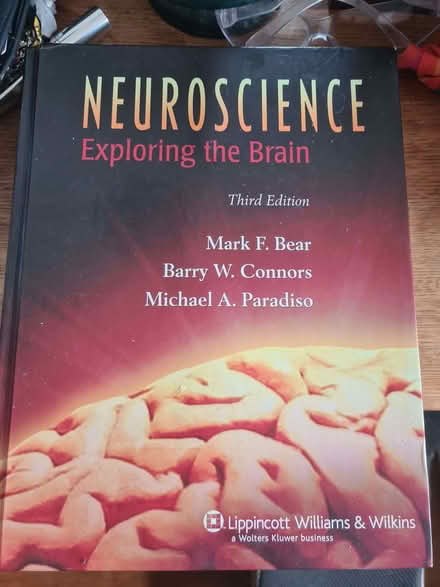 Photo of free Neuroscience, exploring the brain (Shirehampton BS11) #1