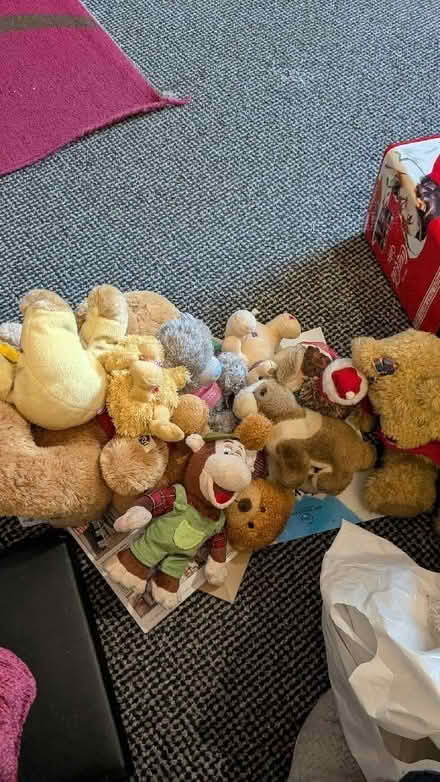 Photo of free Teddy bears and others (Braithwaite BD22) #1