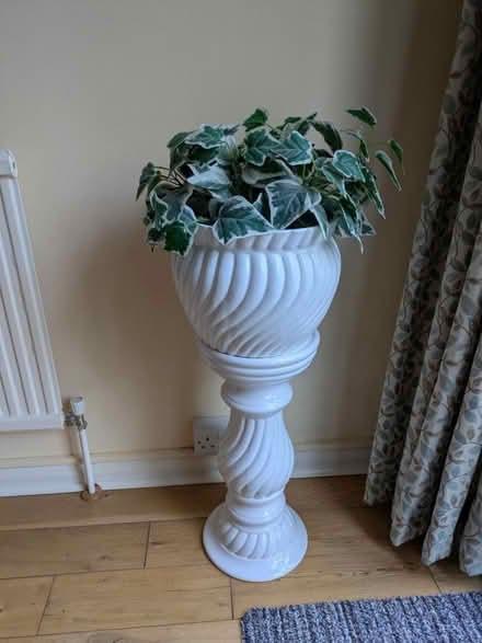 Photo of free Jardeniere (Ascot) #2