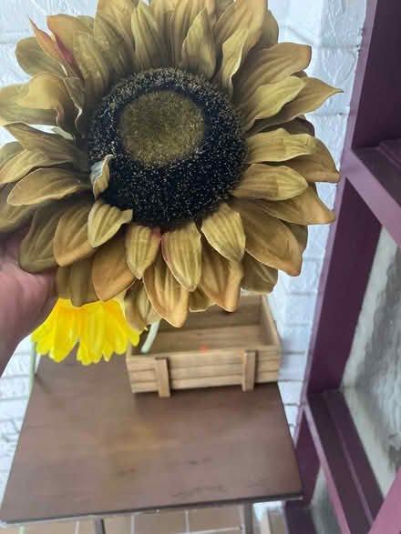 Photo of free Silk flowers (SR 54 & Little) #1
