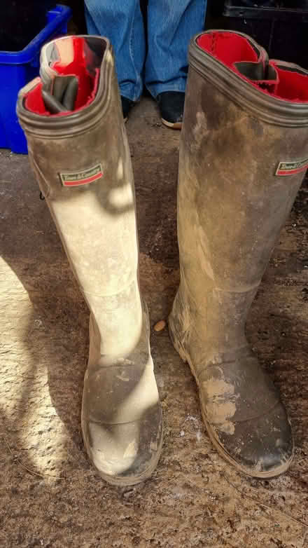 Photo of free Wellington boots (South Tonbridge TN9) #1