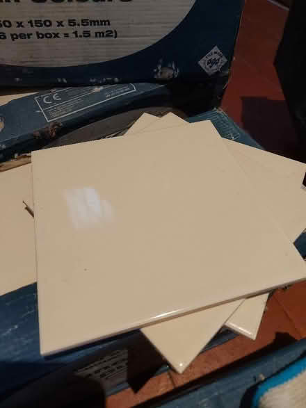 Photo of free Tiles (Presteigne LD8) #1