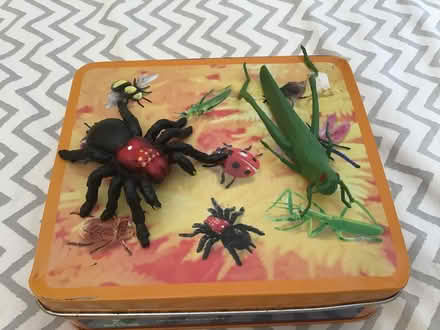 Photo of free Tin of plastic insects. (Longlevens GL2) #4