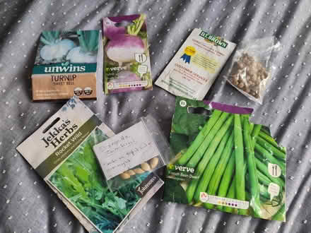 Photo of free Seeds (Bexhill old town, TN40) #1