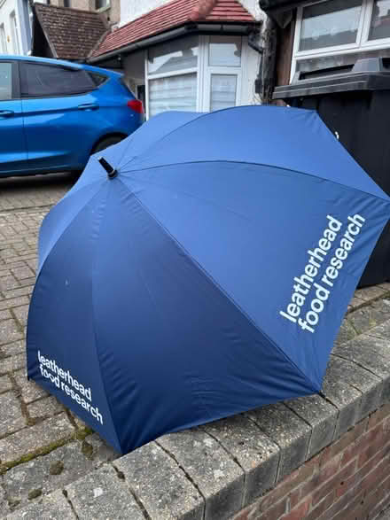 Photo of free Big umbrella (BR6 0HS) #1