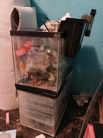 Photo of free Fish Tanks and Accessories (East Madison) #1