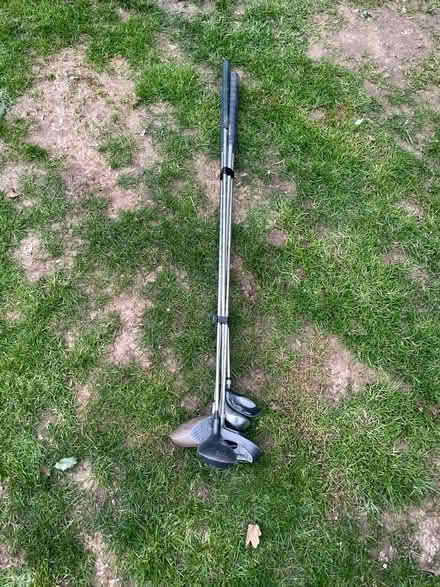 Photo of free Golf clubs (Axminster flax meadow) #2