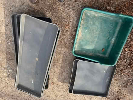 Photo of free Gardening trays (Salisbury SP5) #1