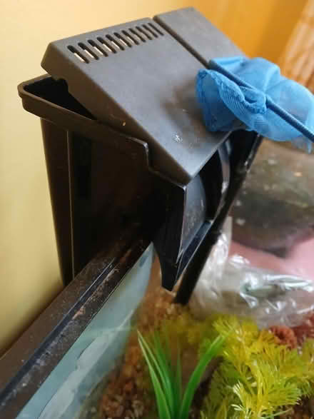 Photo of free Small Fish Tank (East Madison) #2