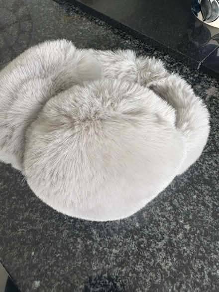 Photo of free Ear muffs (Weybridge) #4