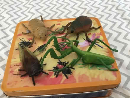 Photo of free Tin of plastic insects. (Longlevens GL2) #1