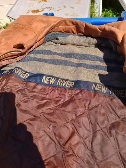 Photo of free leather Jacket, size M/M, some mold (Newport News, Bruton Ave) #4