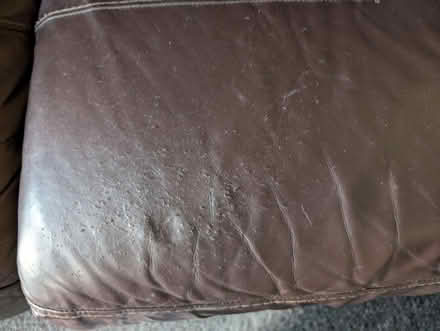 Photo of free Large corner sofa (Lutton) #3