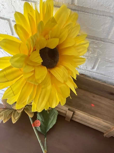 Photo of free Silk flowers (SR 54 & Little) #2