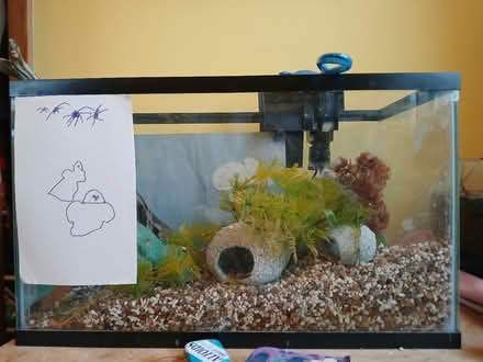 Photo of free Small Fish Tank (East Madison) #1