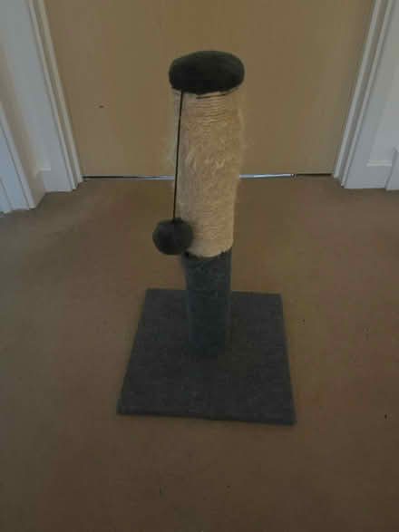 Photo of free Cat Stratcher (3a Portnalls Road CR5 3D) #1