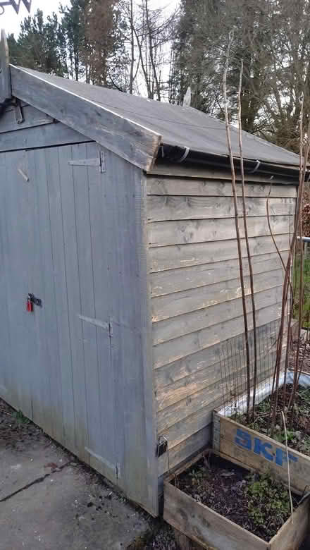 Photo of free Garden shed (Denholme BD13) #1