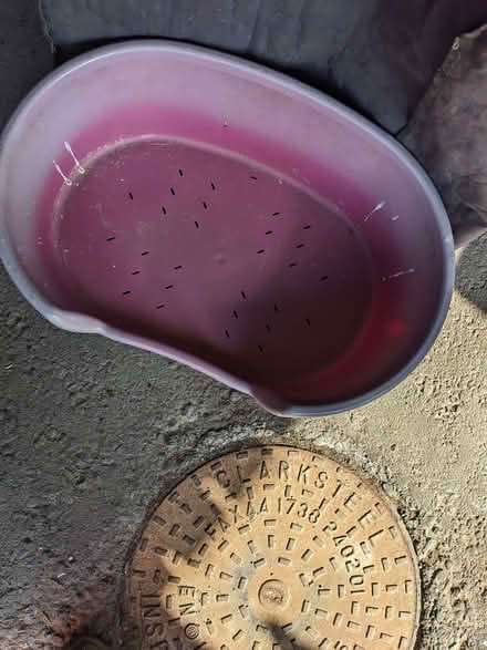 Photo of free Dog bed (Bashall Eaves BB7) #1