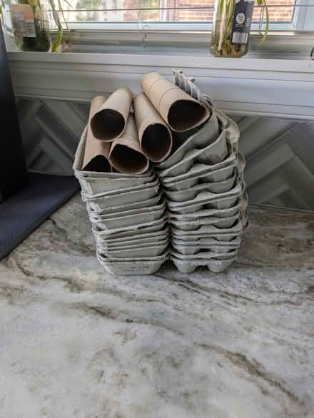 Photo of free Cardboard Egg Cartons - Brookhaven (Brookhaven) #1