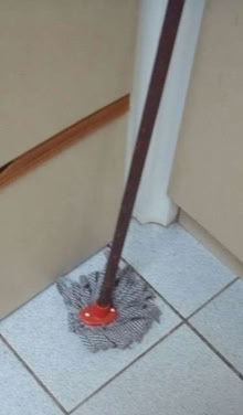 Photo of free Mops (Wilmslow SK9) #2