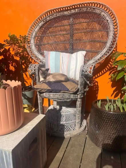 Photo of free 1970s peacock chair (Catford SE6) #1