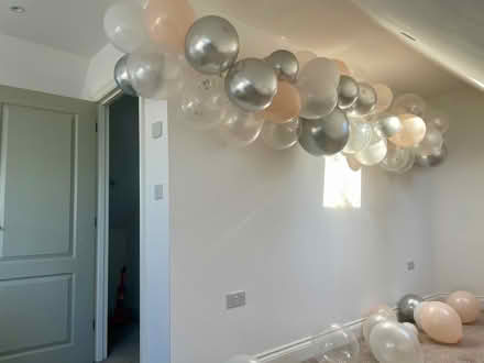 Photo of free Party Balloons / Decorations (South Cambridgeshire CB22) #4