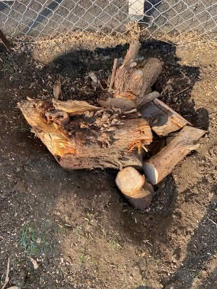Photo of free Wood (Stanton Harcourt OX29) #1
