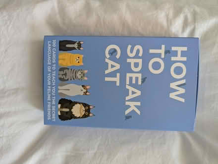 Photo of free Cat lover game (Forest Hill) #1