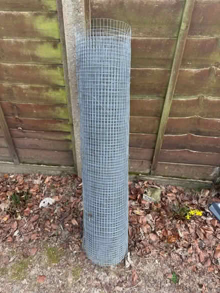 Photo of free Chicken wire (Salisbury SP5) #1