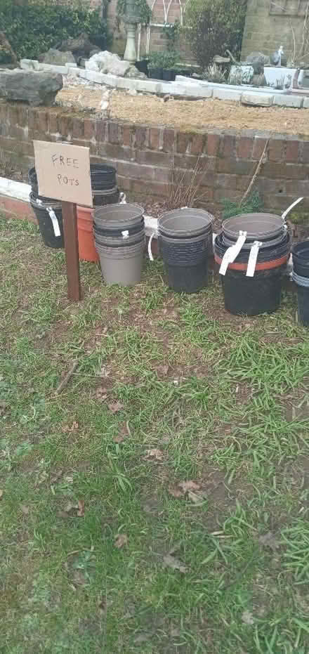 Photo of free Plastic plant pots (Whitehill GU35) #1