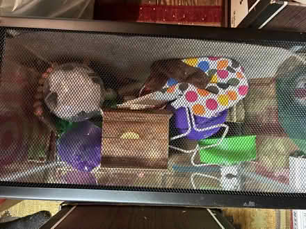 Photo of free Pet supplies (Southwedge) #1