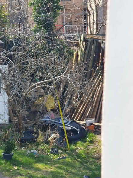 Photo of free Fire Wood (Lewsey Farm LU4) #2