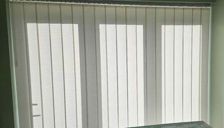 Photo of free Vertical blinds (S t Helen Auckland) #1
