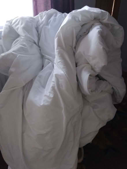 Photo of free Duvet, double (Priory Village RH15) #1