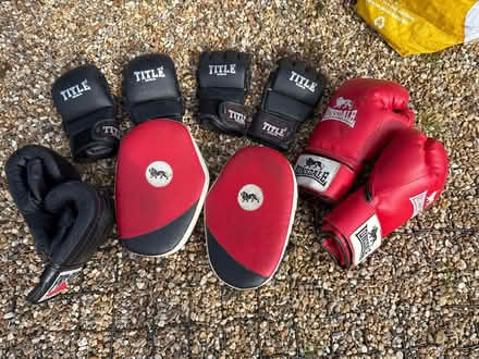 Photo of free Boxing gloves & pads (Chessington / Kingston KT9) #1