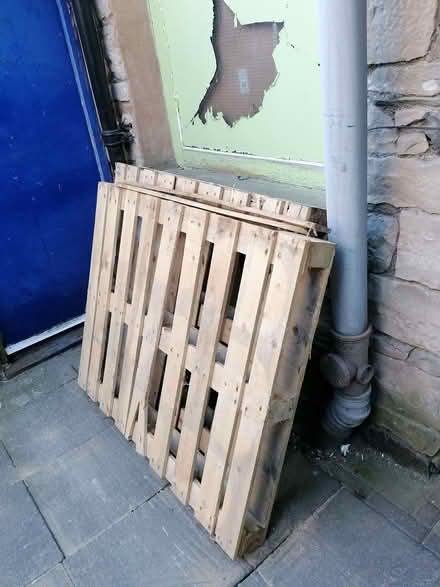 Photo of free Pallets (Kendal LA9) #1