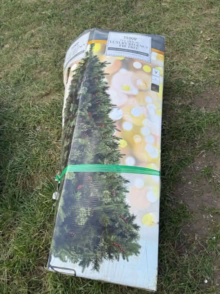 Photo of free Christmas Tree (Chessington / Kingston KT9) #1
