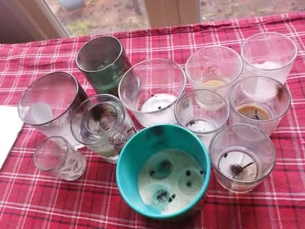 Photo of free Candle jars (Hanworth TW13) #1