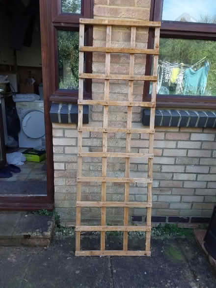 Photo of free Garden trellis. (Fords Farm RG31) #1