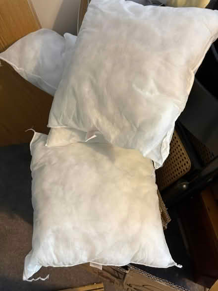 Photo of free cushions (pollokshaws) #1