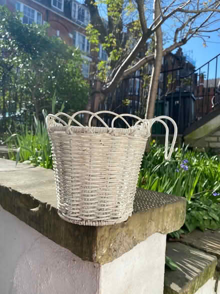 Photo of free Hanging basket/outdoor (Barnsbury N1) #2