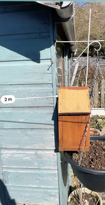 Photo of free Shed 6ft by 6ft6 (Northolt Avenue CM23) #3
