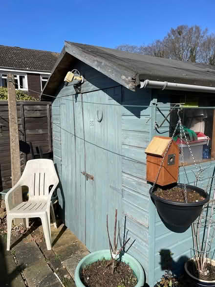 Photo of free Shed 6ft by 6ft6 (Northolt Avenue CM23) #1